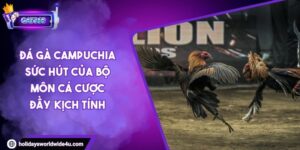 Đá Gà Campuchia Sức Hút Của Bộ Môn Cá Cược Đầy Kịch Tính
