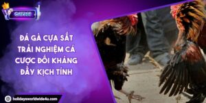 Đá Gà Cựa Sắt Trải Nghiệm Cá Cược Đối Kháng Đầy Kịch Tính
