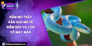Nằm Mơ Thấy Rắn Giải Mã Về Điềm Báo Và Con Số May Mắn